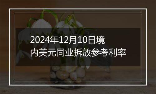 2024年12月10日境内美元同业拆放参考利率