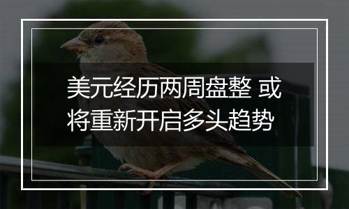 美元经历两周盘整 或将重新开启多头趋势