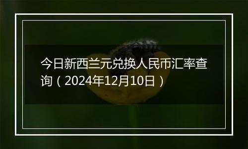 今日新西兰元兑换人民币汇率查询（2024年12月10日）