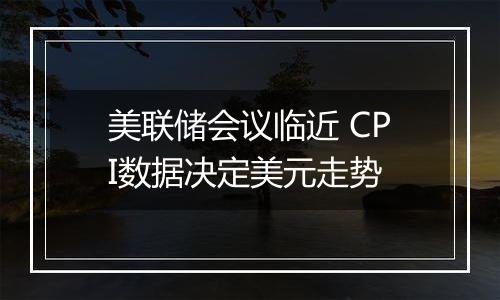 美联储会议临近 CPI数据决定美元走势