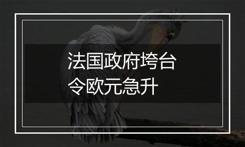 法国政府垮台令欧元急升