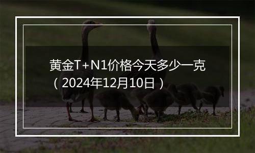 黄金T+N1价格今天多少一克（2024年12月10日）