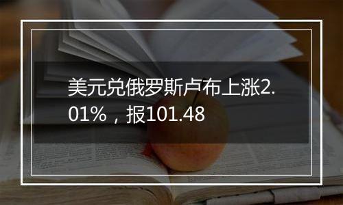 美元兑俄罗斯卢布上涨2.01%，报101.48