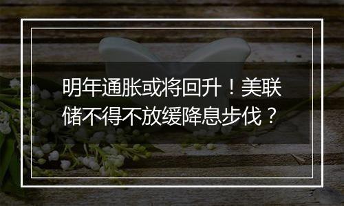 明年通胀或将回升！美联储不得不放缓降息步伐？