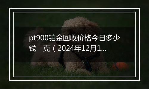 pt900铂金回收价格今日多少钱一克（2024年12月11日）