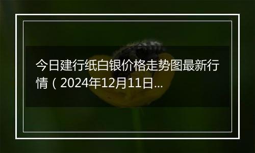 今日建行纸白银价格走势图最新行情（2024年12月11日）