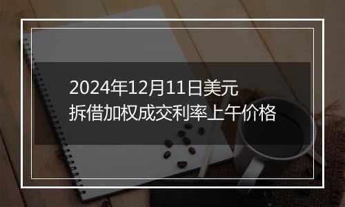 2024年12月11日美元拆借加权成交利率上午价格