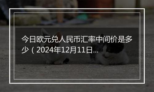 今日欧元兑人民币汇率中间价是多少（2024年12月11日）