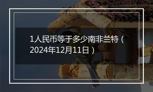 1人民币等于多少南非兰特（2024年12月11日）