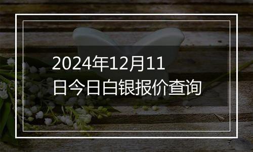 2024年12月11日今日白银报价查询