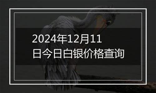 2024年12月11日今日白银价格查询