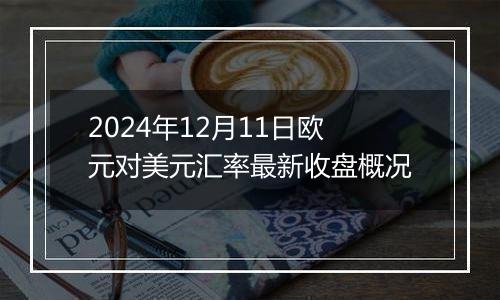 2024年12月11日欧元对美元汇率最新收盘概况