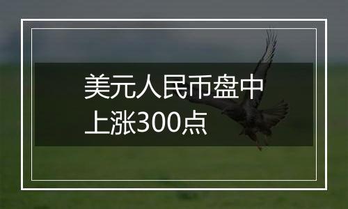 美元人民币盘中上涨300点