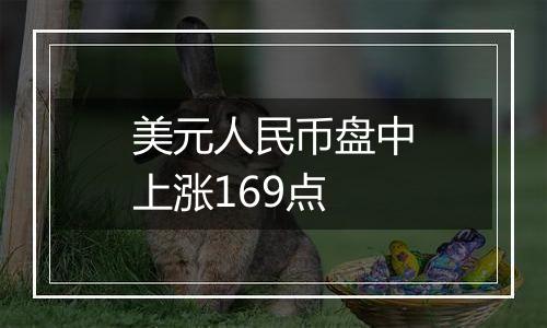 美元人民币盘中上涨169点