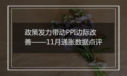 政策发力带动PPI边际改善——11月通胀数据点评