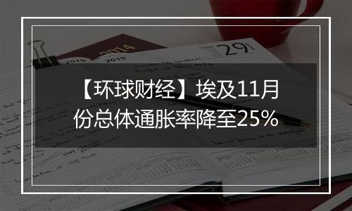 【环球财经】埃及11月份总体通胀率降至25%