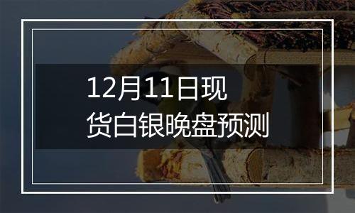 12月11日现货白银晚盘预测