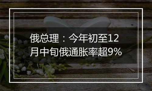 俄总理：今年初至12月中旬俄通胀率超9%