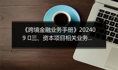 《跨境金融业务手册》202409 ​三、资本项目相关业务的办理