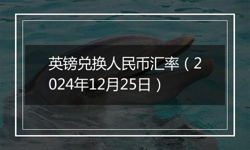 英镑兑换人民币汇率（2024年12月25日）