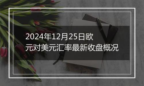 2024年12月25日欧元对美元汇率最新收盘概况