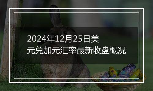 2024年12月25日美元兑加元汇率最新收盘概况