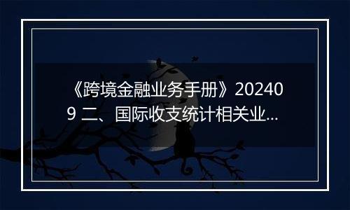 《跨境金融业务手册》202409 二、国际收支统计相关业务的办理