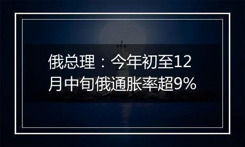 俄总理：今年初至12月中旬俄通胀率超9%