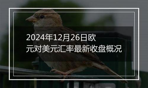 2024年12月26日欧元对美元汇率最新收盘概况