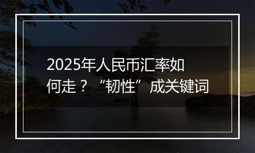 2025年人民币汇率如何走？“韧性”成关键词