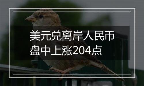 美元兑离岸人民币盘中上涨204点