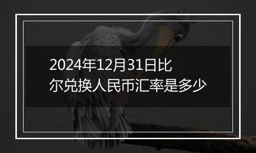 2024年12月31日比尔兑换人民币汇率是多少