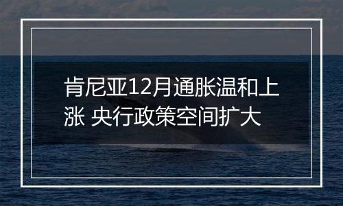 肯尼亚12月通胀温和上涨 央行政策空间扩大