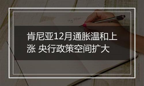 肯尼亚12月通胀温和上涨 央行政策空间扩大