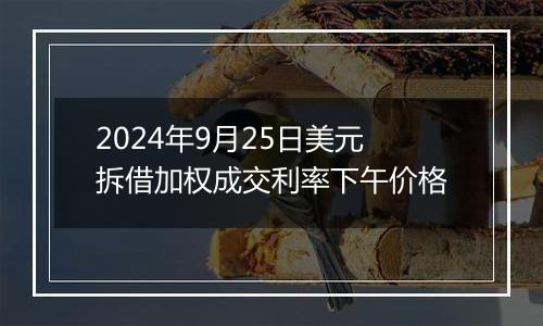 2024年9月25日美元拆借加权成交利率下午价格