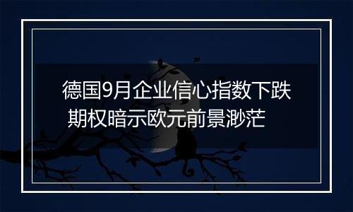 德国9月企业信心指数下跌 期权暗示欧元前景渺茫