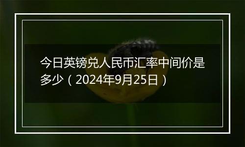 今日英镑兑人民币汇率中间价是多少（2024年9月25日）