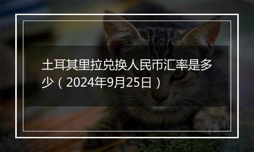 土耳其里拉兑换人民币汇率是多少（2024年9月25日）