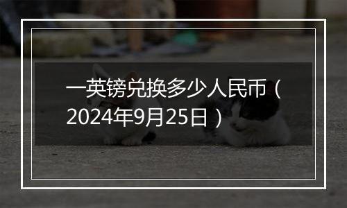 一英镑兑换多少人民币（2024年9月25日）