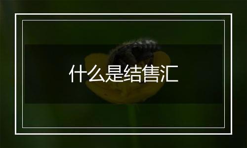 什么是结售汇